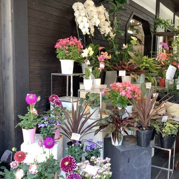 「花のはなもり」　（静岡県伊東市）の花屋店舗写真2
